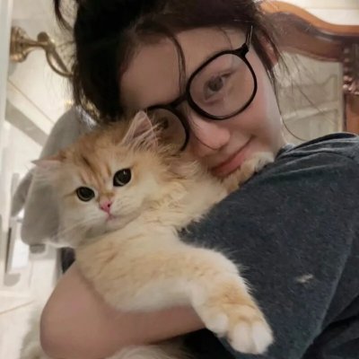 枯山水的波纹