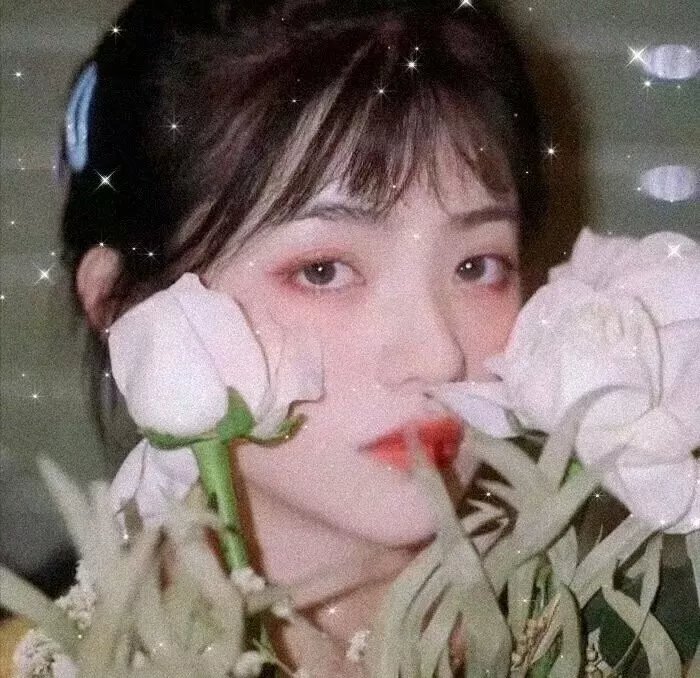 奇怪的搭档